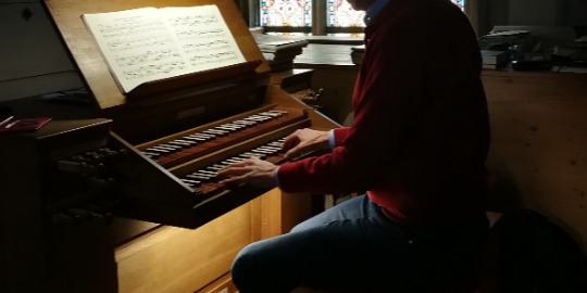 Organista Torino