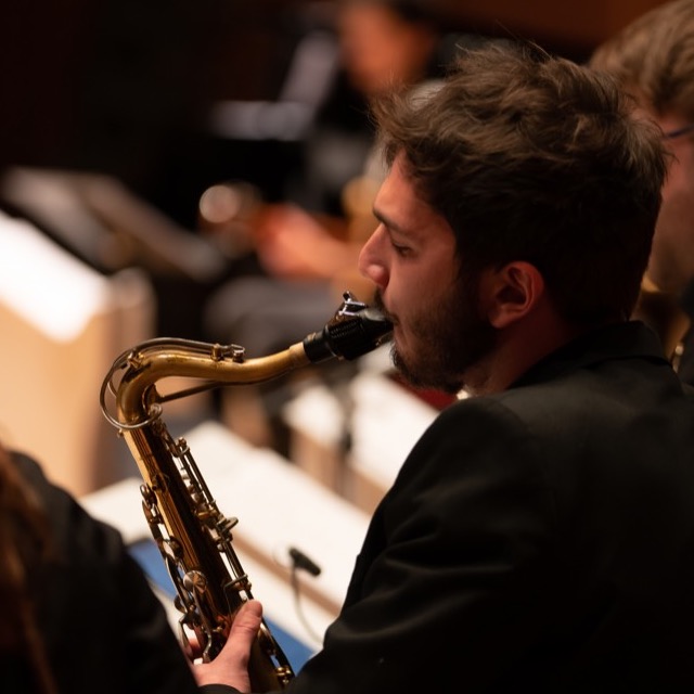 TERRA PROJECT STUDIO