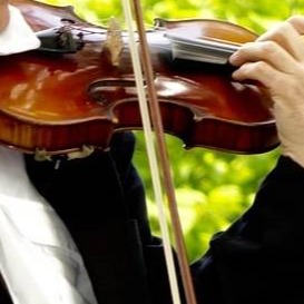 Violinista Portofino