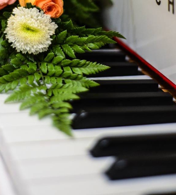 Violinista Portofino