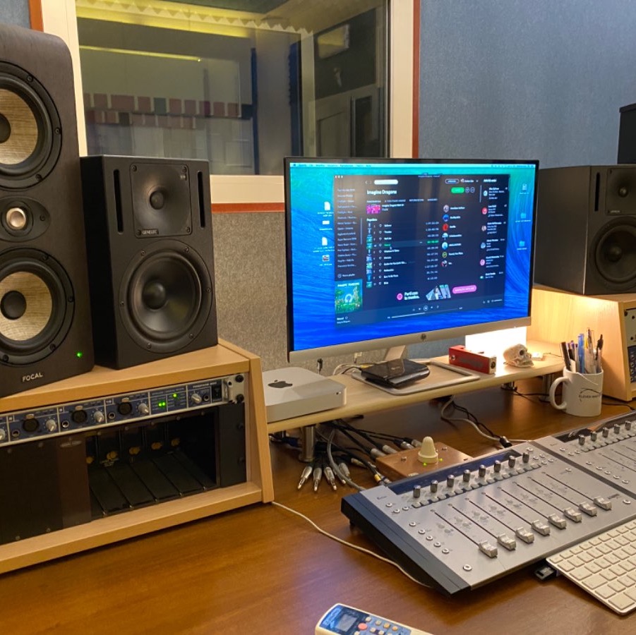 Andrea Lion - True Colours Studio