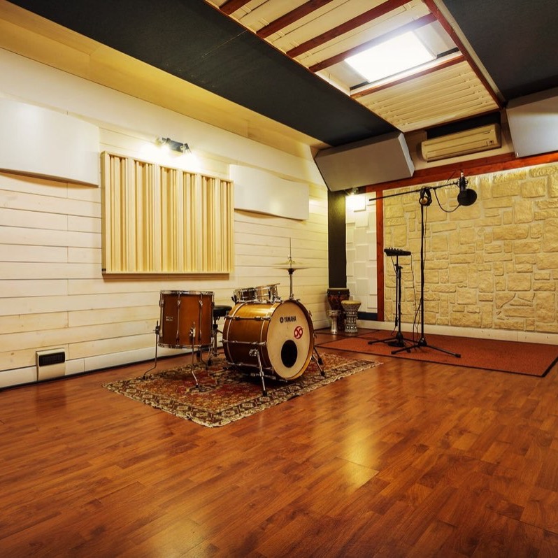 Andrea Lion - True Colours Studio